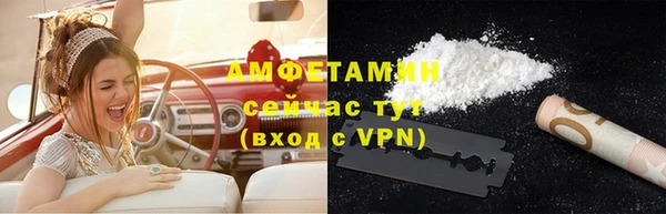 прущие грибы Новый Уренгой