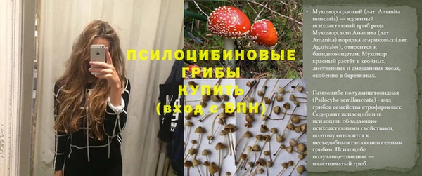 прущие грибы Новый Уренгой